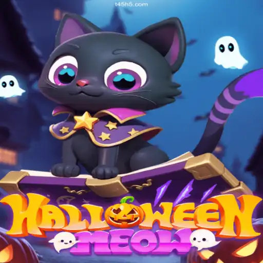 Exploring HalloweenMeow: A Spooky Adventure in the Casino World